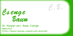 csenge baum business card